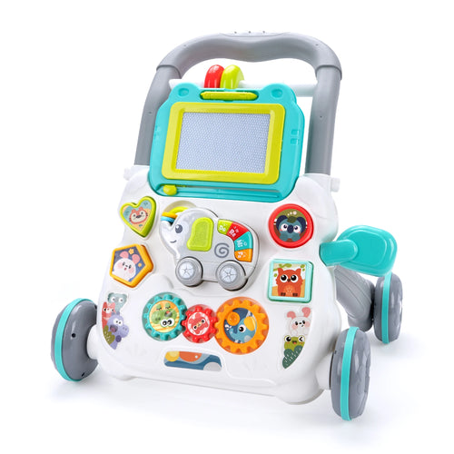 Baby Activity Walker & Learning Center