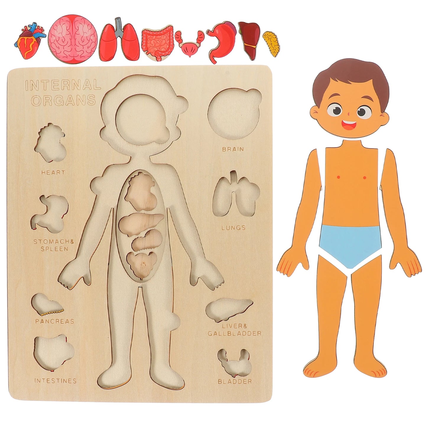 Montessori Puzzles Busy Board Human Body Teaching Learning Body Parts