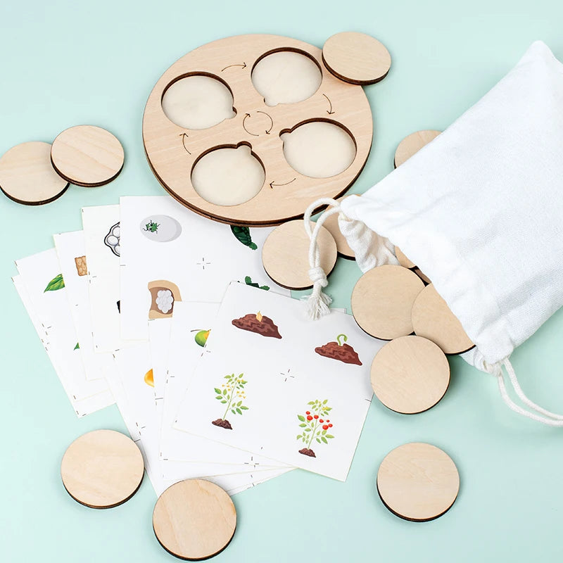 Montessori Life Cycle Learning Board | Wooden Science Matching Game