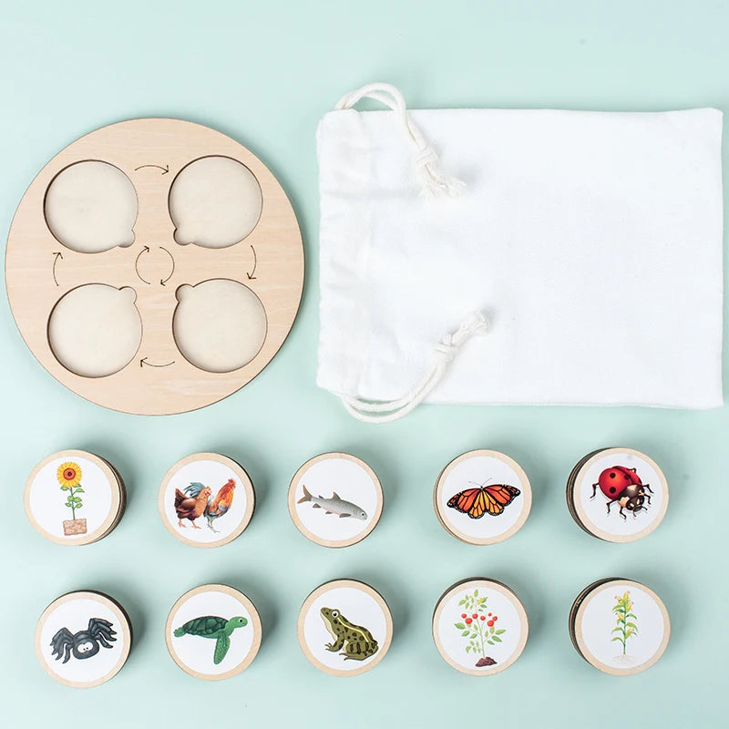 Montessori Life Cycle Learning Board | Wooden Science Matching Game
