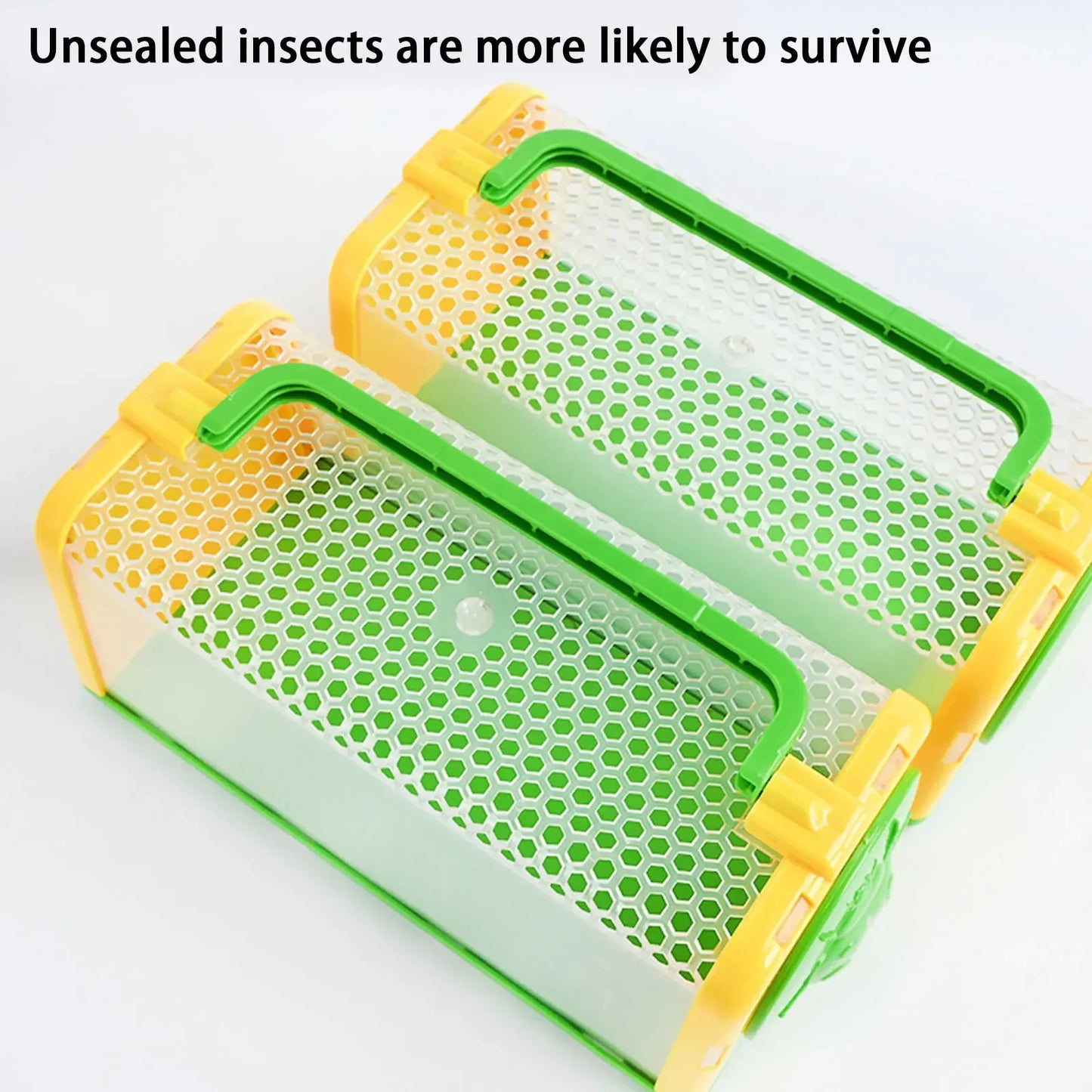 Kids’ Bug Explorer Observation Kit